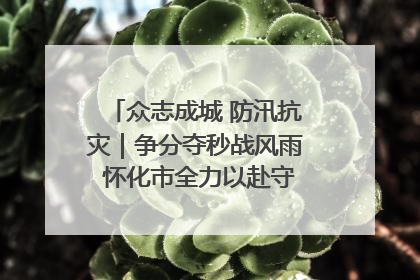 众志成城 防汛抗灾｜争分夺秒战风雨 怀化市全力以赴守护人民群众安全