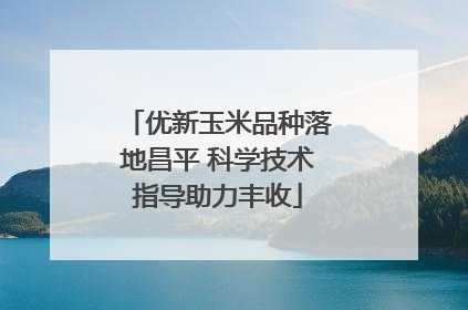 优新玉米品种落地昌平 科学技术指导助力丰收