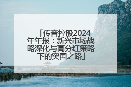 传音控股2024年年报：新兴市场战略深化与高分红策略下的突围之路