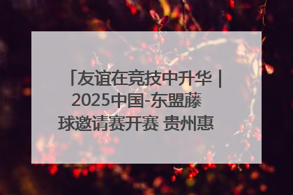 友谊在竞技中升华｜2025中国-东盟藤球邀请赛开赛 贵州惠水燃动“空中芭蕾”