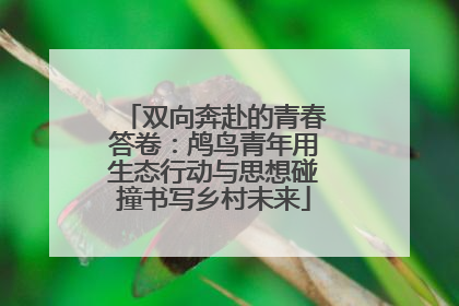 双向奔赴的青春答卷：鸬鸟青年用生态行动与思想碰撞书写乡村未来