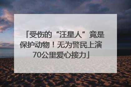 受伤的“汪星人”竟是保护动物！无为警民上演70公里爱心接力
