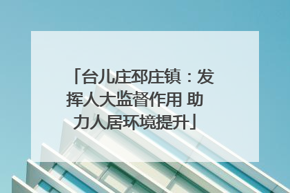 台儿庄邳庄镇：发挥人大监督作用 助力人居环境提升