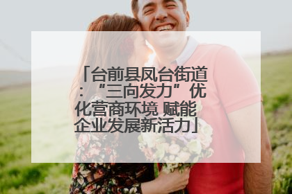 台前县凤台街道：“三向发力”优化营商环境 赋能企业发展新活力