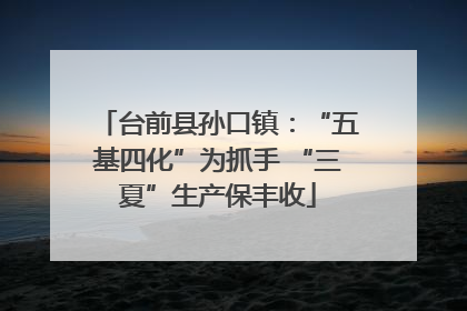台前县孙口镇：“五基四化”为抓手 “三夏”生产保丰收