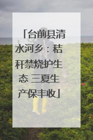 台前县清水河乡：秸秆禁烧护生态 三夏生产保丰收