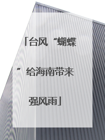 台风“蝴蝶”给海南带来强风雨