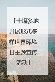 十堰多地开展形式多样世界环境日主题宣传活动