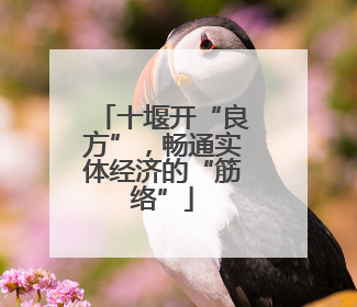 十堰开“良方”，畅通实体经济的“筋络”