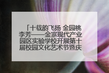 十载韵飞扬 金园桃李芳——金寨现代产业园区实验学校开展第十届校园文化艺术节暨庆“六一”系列活动