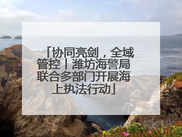 协同亮剑，全域管控丨潍坊海警局联合多部门开展海上执法行动