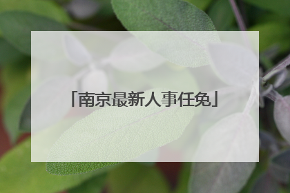 南京最新人事任免