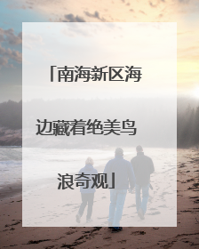 南海新区海边藏着绝美鸟浪奇观