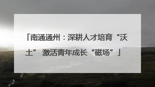 南通通州：深耕人才培育“沃土” 激活青年成长“磁场”