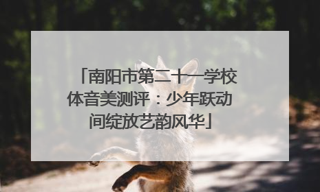 南阳市第二十一学校体音美测评：少年跃动间绽放艺韵风华