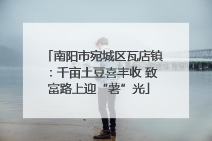 南阳市宛城区瓦店镇：千亩土豆喜丰收 致富路上迎“薯”光