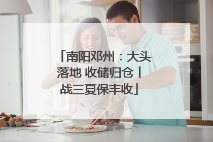 南阳邓州：大头落地 收储归仓丨战三夏保丰收