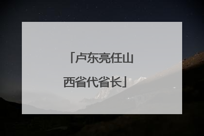 卢东亮任山西省代省长