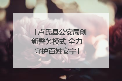 卢氏县公安局创新警务模式 全力守护百姓安宁