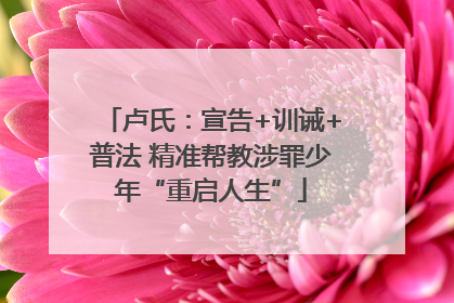 卢氏：宣告+训诫+普法 精准帮教涉罪少年“重启人生”