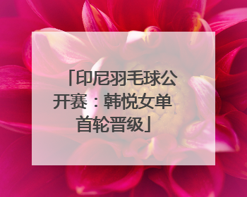 印尼羽毛球公开赛：韩悦女单首轮晋级