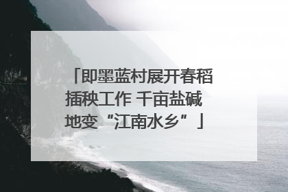即墨蓝村展开春稻插秧工作 千亩盐碱地变“江南水乡”