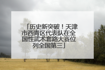历史新突破！天津市西青区代表队在全国性武术套路大赛位列全国第三