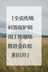 全省传统村落保护利用工作现场推进会在松阳召开