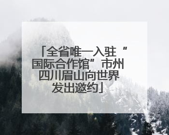 全省唯一入驻“国际合作馆”市州 四川眉山向世界发出邀约