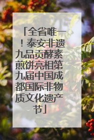 全省唯一！泰安非遗九品贡酵素煎饼亮相第九届中国成都国际非物质文化遗产节