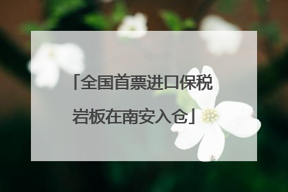 全国首票进口保税岩板在南安入仓