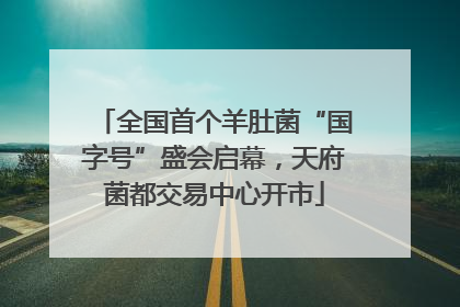 全国首个羊肚菌“国字号”盛会启幕，天府菌都交易中心开市
