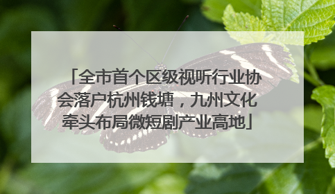 全市首个区级视听行业协会落户杭州钱塘，九州文化牵头布局微短剧产业高地