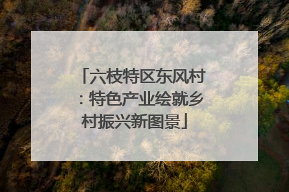 六枝特区东风村：特色产业绘就乡村振兴新图景