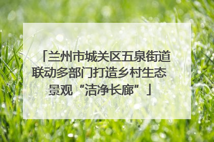 兰州市城关区五泉街道联动多部门打造乡村生态景观“洁净长廊”