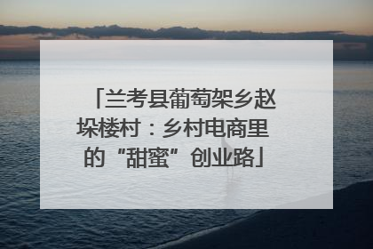 兰考县葡萄架乡赵垛楼村：乡村电商里的“甜蜜”创业路