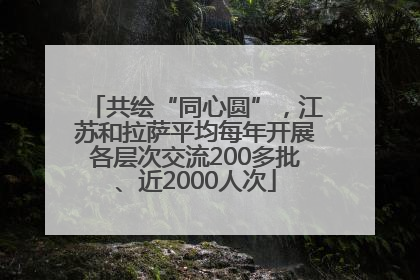 共绘“同心圆”，江苏和拉萨平均每年开展各层次交流200多批、近2000人次
