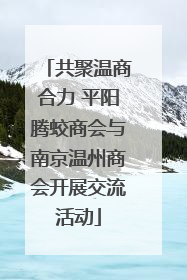 共聚温商合力 平阳腾蛟商会与南京温州商会开展交流活动