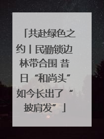 共赴绿色之约丨民勤锁边林带合围 昔日“和尚头”如今长出了“披肩发”