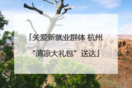 关爱新就业群体 杭州“清凉大礼包”送达
