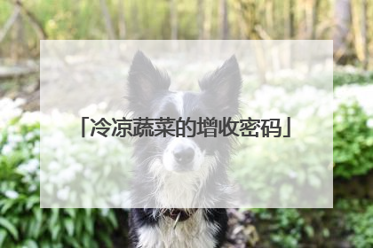 冷凉蔬菜的增收密码