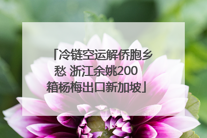 冷链空运解侨胞乡愁 浙江余姚200箱杨梅出口新加坡