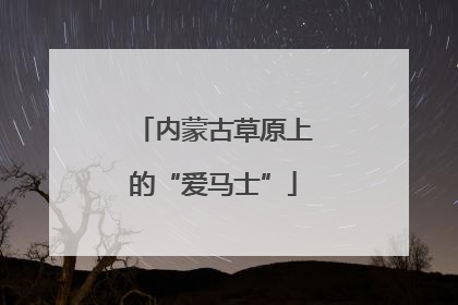 内蒙古草原上的“爱马士”