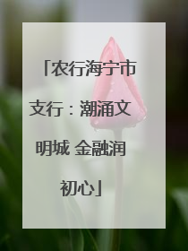 农行海宁市支行：潮涌文明城 金融润初心