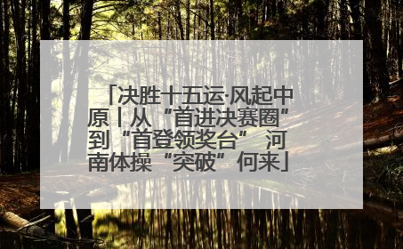 决胜十五运·风起中原丨从“首进决赛圈”到“首登领奖台” 河南体操“突破”何来