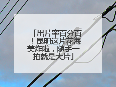 出片率百分百！昆明这片花海美炸啦，随手一拍就是大片