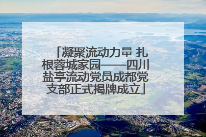 凝聚流动力量 扎根蓉城家园——四川盐亭流动党员成都党支部正式揭牌成立