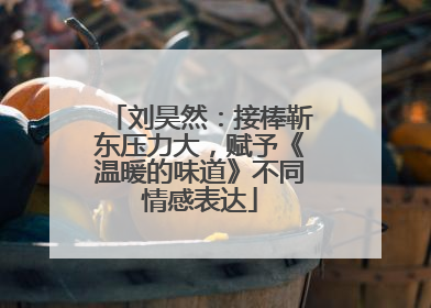 刘昊然：接棒靳东压力大，赋予《温暖的味道》不同情感表达