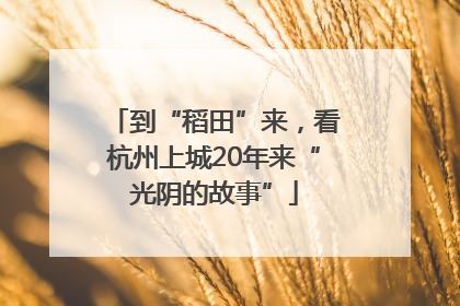 到“稻田”来，看杭州上城20年来“光阴的故事”