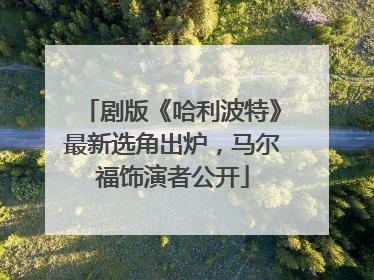 剧版《哈利波特》最新选角出炉，马尔福饰演者公开